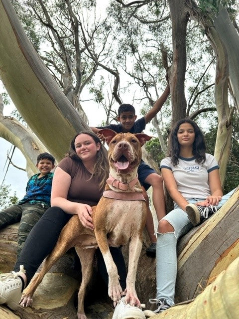 Meet Ruth – The Mum Behind the Magic of Rusketh Creations